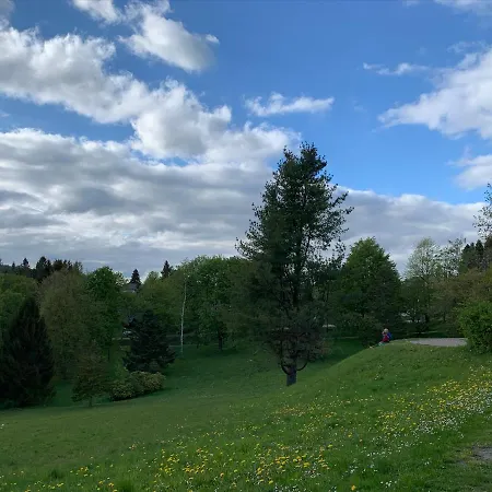 Gemuetliche Harz Hohegeiss Braunlage